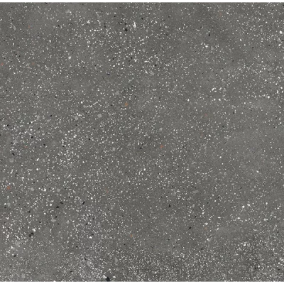 Carrelage effet Terrazzo Venetian graphite 60x120 cm