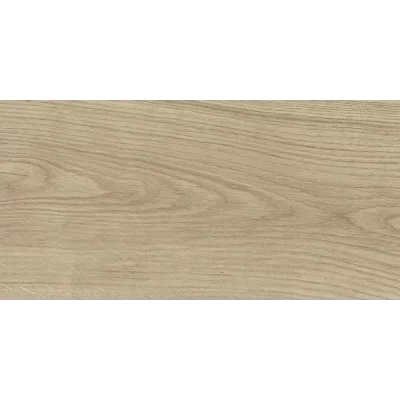 Carrelage sol extérieur effet bois Landes natural R11 23*120 cm