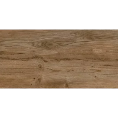 Carrelage sol extérieur effet bois Séquoia oak R11 23x120 cm