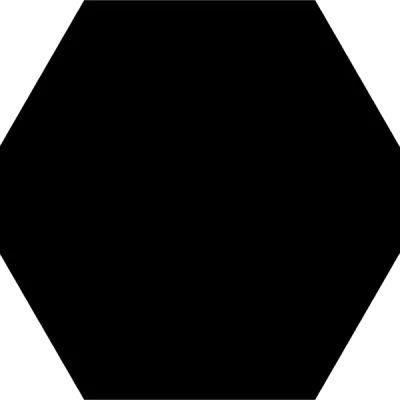 Carrelage sol hexagonal Rakuni black 25*25 cm