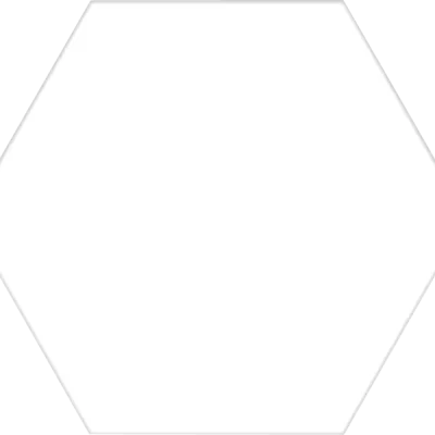 Carrelage sol hexagonal Rakuni white 25*25 cm