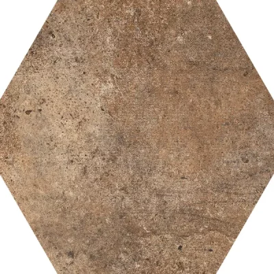 Carrelage sol hexagonal Tomette natural 22*25 cm
