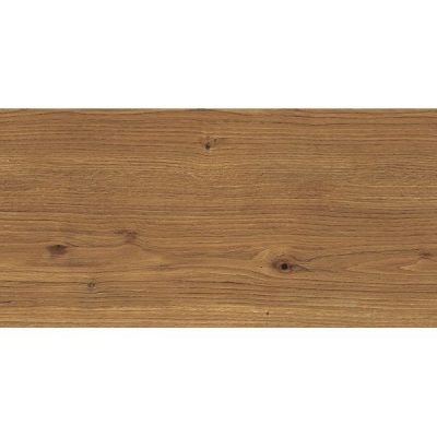 Dalle extérieur effet bois Copernicia 2.0 noisette R11 40x120 cm