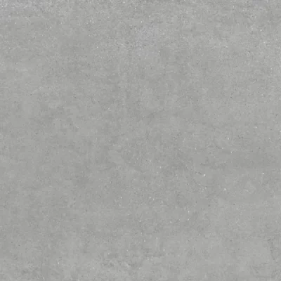 Dalle extérieur Gravi 2.0 gris R11 60x120 cm